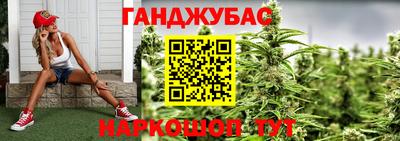 прущие грибы Комсомольск-на-Амуре