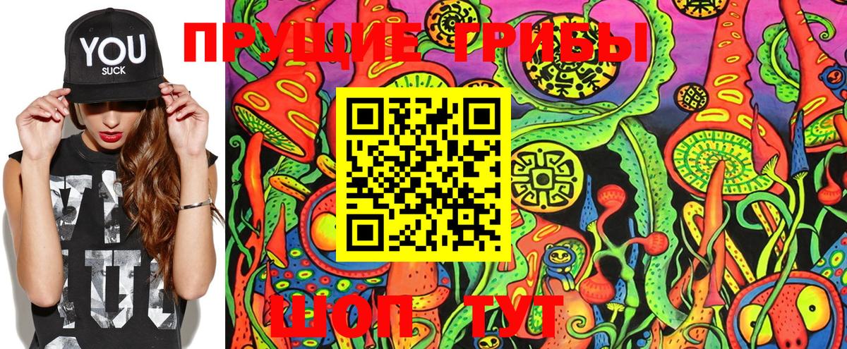 Псилоцибиновые грибы Cubensis Волгоград