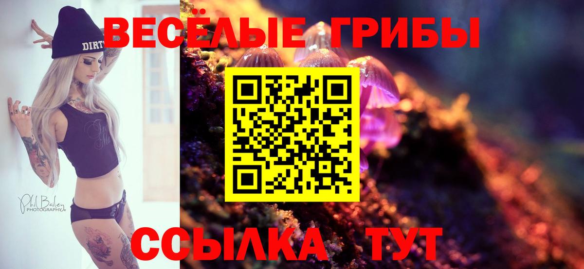 Галлюциногенные грибы GOLDEN TEACHER  Вход с VPN  Волгоград 